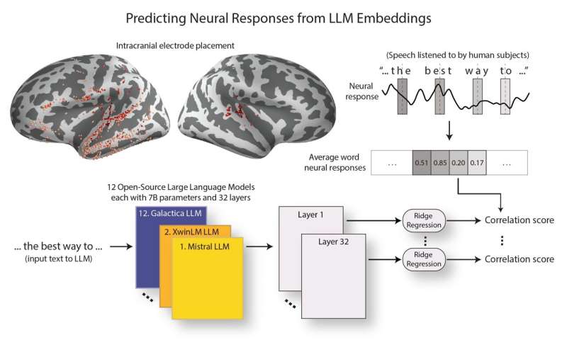 LLM representations mirror human brain responses more closely as LLMs become more advanced