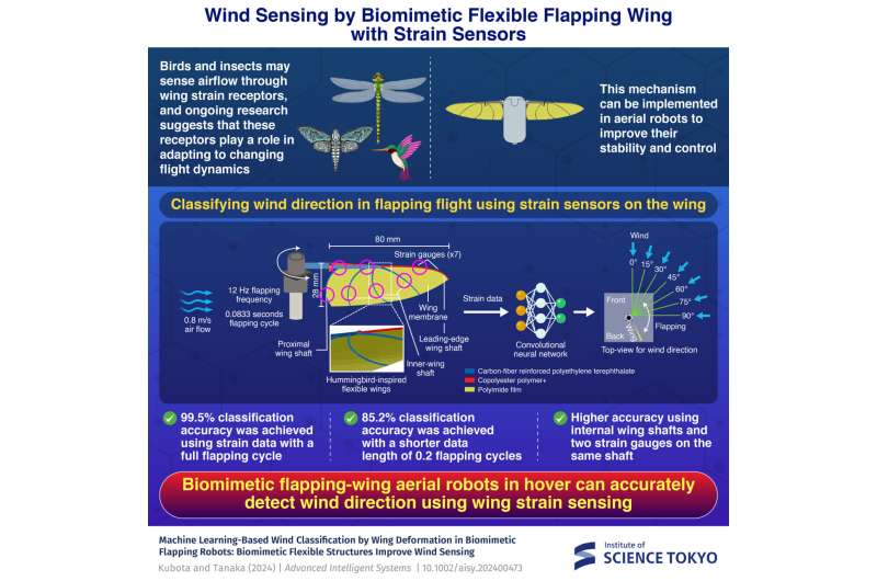 Wind sensing by biomimetic flexible flapping wing with strain sensors